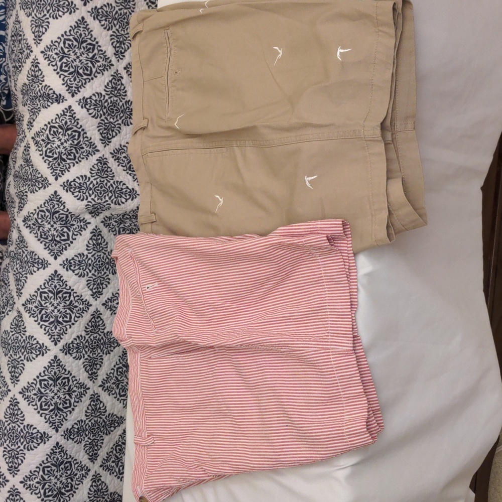 Chaps Shorts